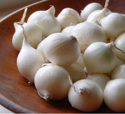 Onion Bianco di Aprile ( San Michel)